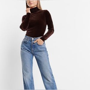 NWOT Express Body Contour brown velvet bodysuit. Size medium